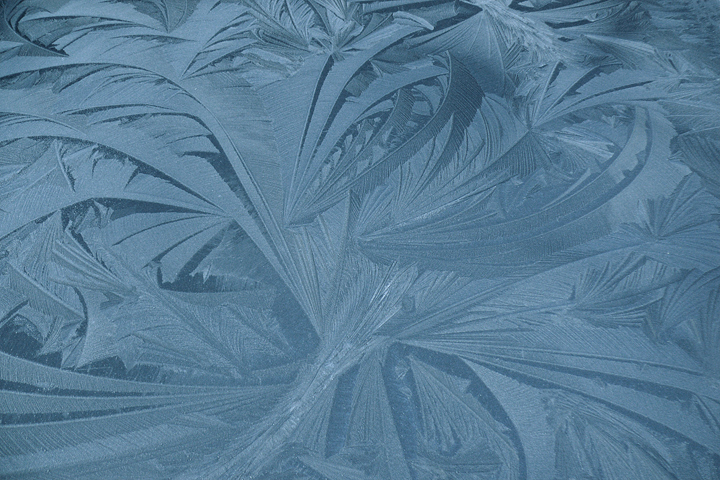 Eisblumen am Fenster