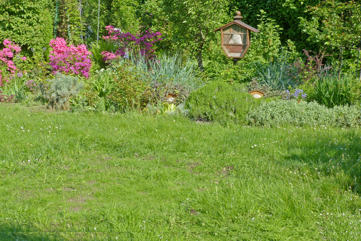 Spielrasen vor Bienenhotel