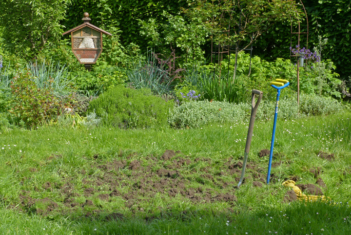 Anlegen der Wildblumenwiese