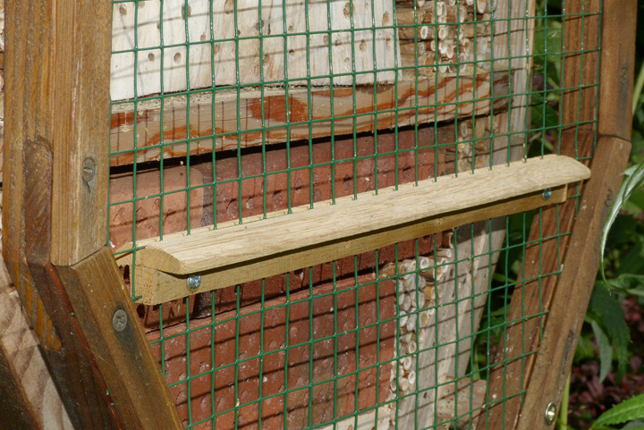 Anflugbrett hilft Wildbienen