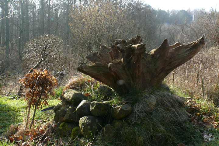 Totes Holz und Steinhaufen