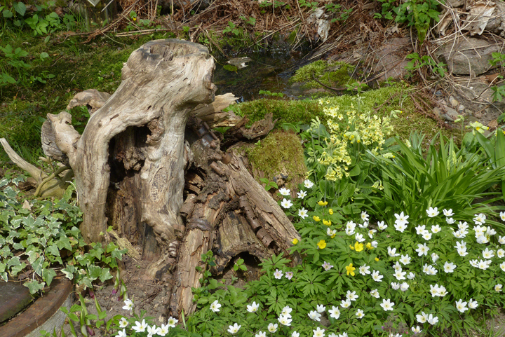 Tod und Leben als Kontrast