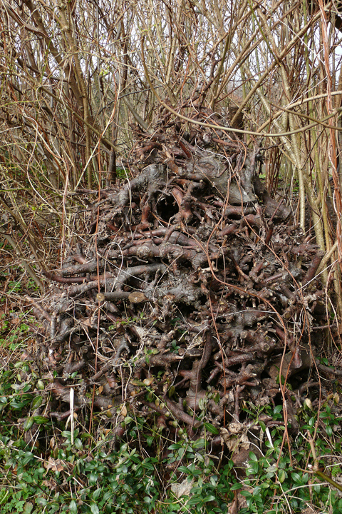 Ästeturm als Schutzraum
