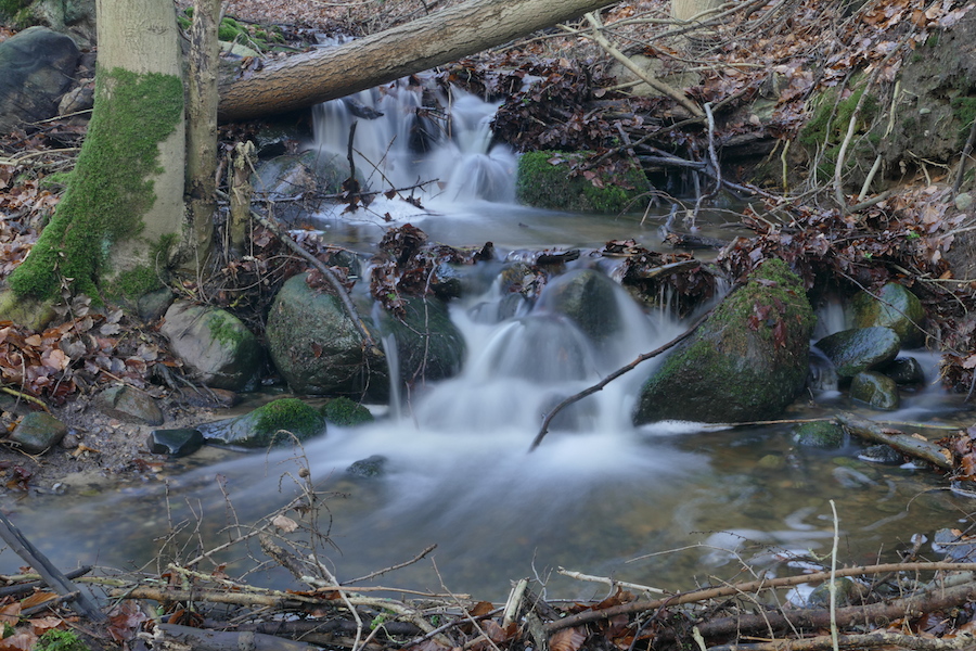 Am Bächlein im Walde