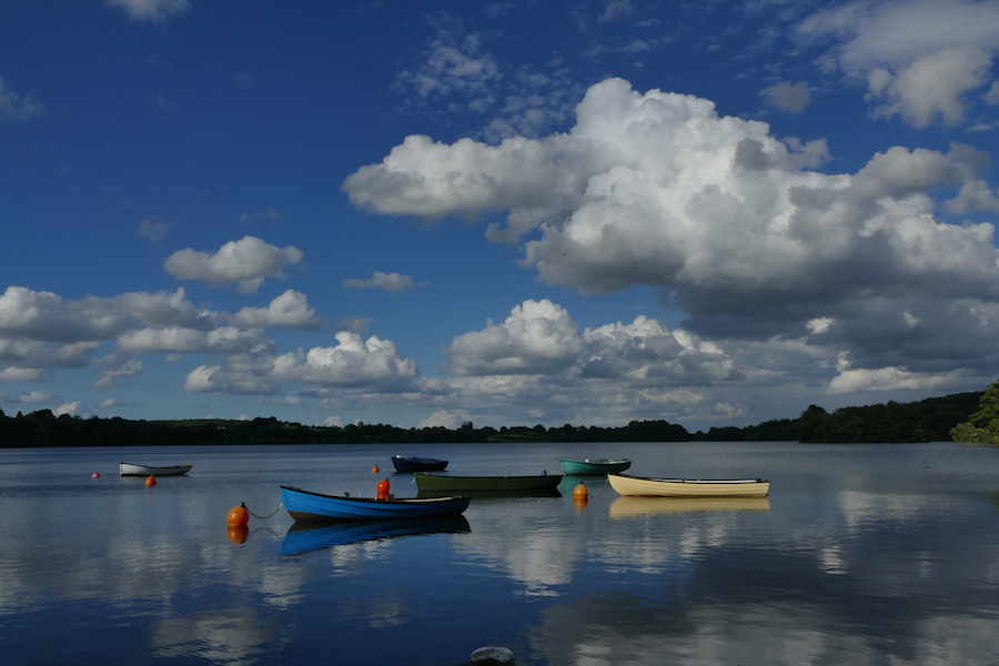Ruderboote auf dem Schöhsee