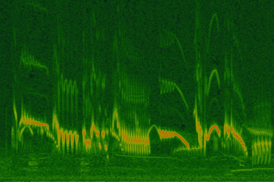 Feldlerche Spektrogramm