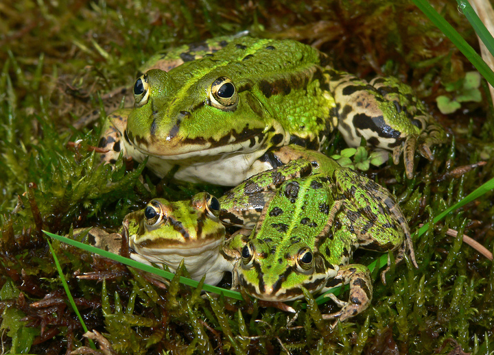 Die besten Sonnenplätze werden früh besetzt