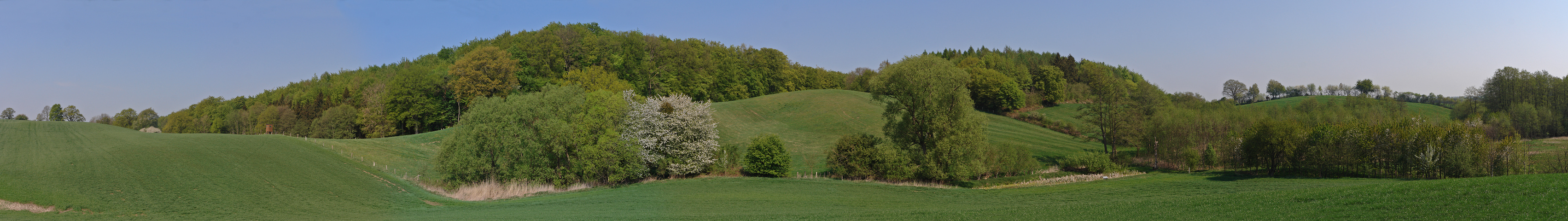 Sanfte Hügel im Maiengrün vor Behl