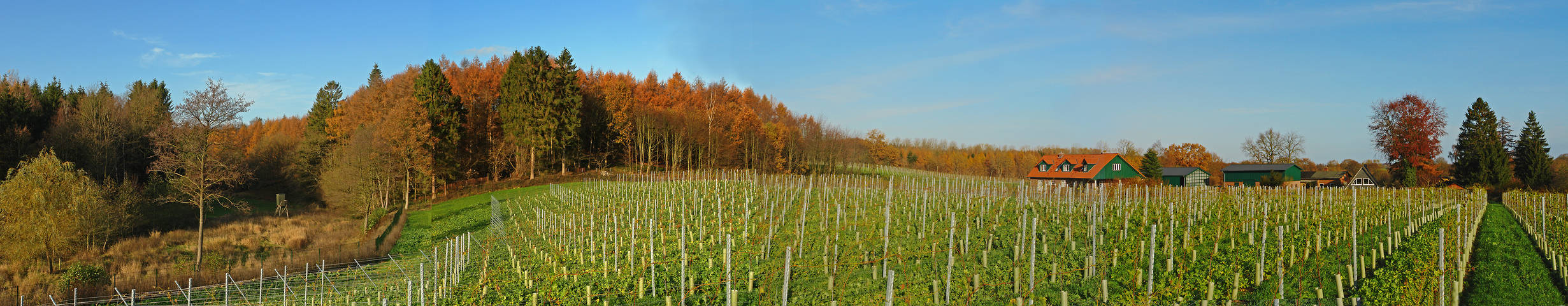 Herbststimmung auf dem Weinhof in Altmühlen bei Grebin